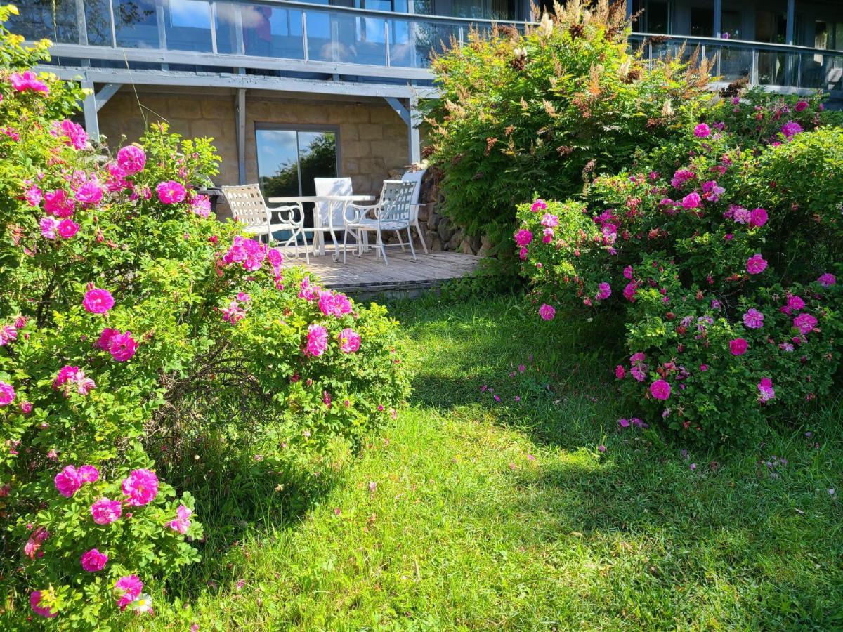Le Lodge Du Lac Saint-Faustin Dış mekan fotoğraf